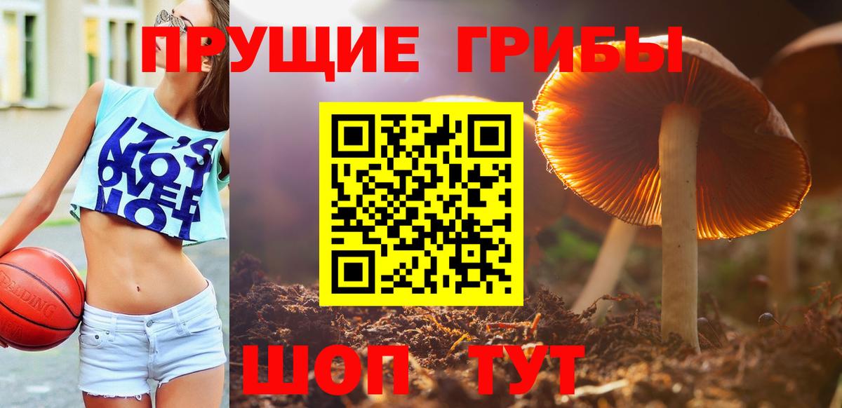 Псилоцибиновые грибы мицелий  Вход с VPN  Каменск-Уральский  купить  цена  Галлюциногенные грибы мицелий 